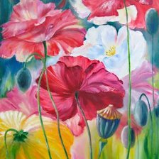 Схема вышивки «Маки»