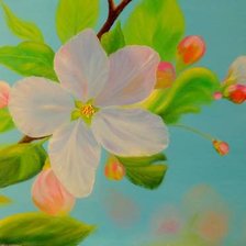 Схема вышивки «Цвет яблони»