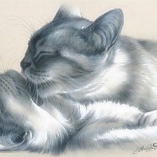 Схема вышивки «кошечки»