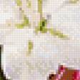 Предпросмотр схемы вышивки «Праздничный букет» (№1058799)