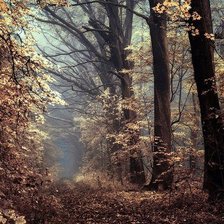 Схема вышивки «№15»