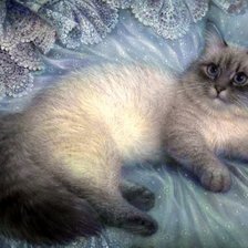 Схема вышивки «кошечки»