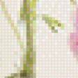 Предпросмотр схемы вышивки «ранункулюс» (№1058954)