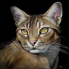 Схема вышивки «кошки»