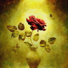 Схема вышивки «роза под лампой»