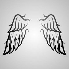 крылья 150х100