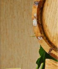 Схема вышивки «натюрморт-2»