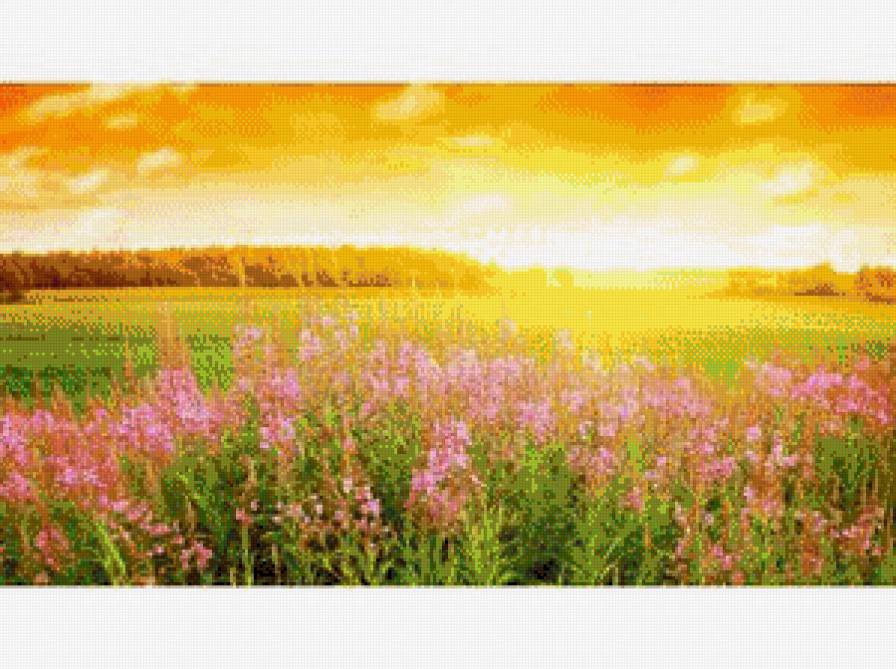 теплый закат - закат, природа, солнце, поле - предпросмотр