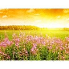 теплый закат