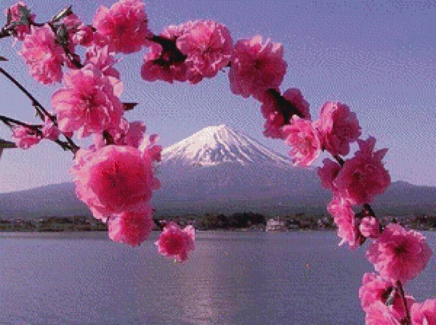 сакура (нитки кирова) - предпросмотр