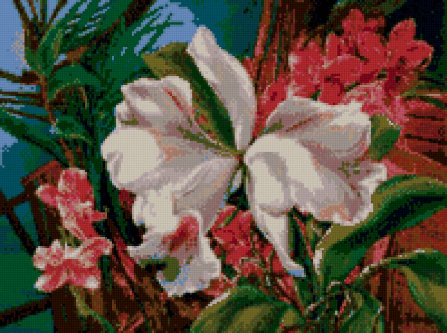 архидея-3 - предпросмотр