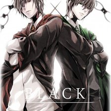 Схема вышивки «Блеки»