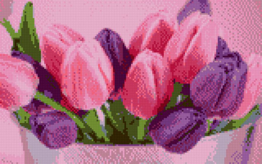 Тюльпаны - цветы, красота - предпросмотр