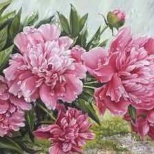 Схема вышивки «Пионы»