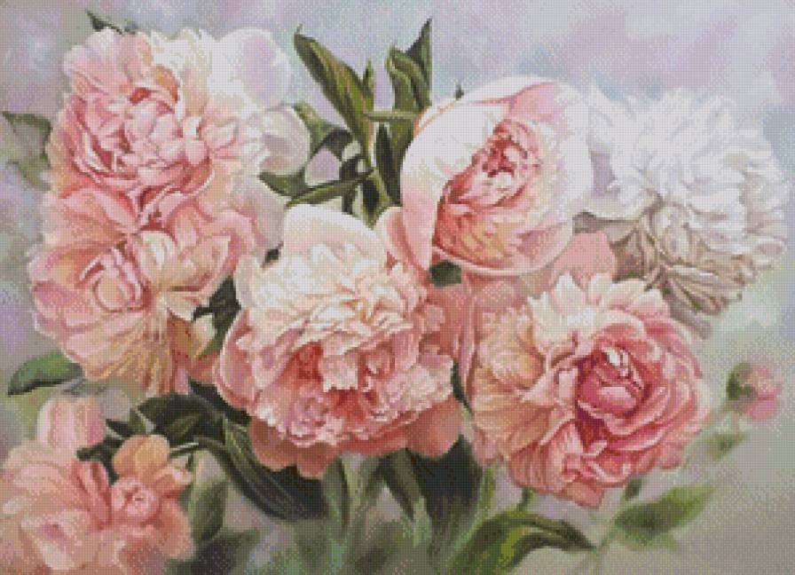 Пионы - букет, пион, цветы, цветок - предпросмотр