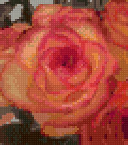 роза 1 - розы, цветы - предпросмотр