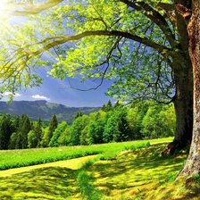 Схема вышивки «лето»