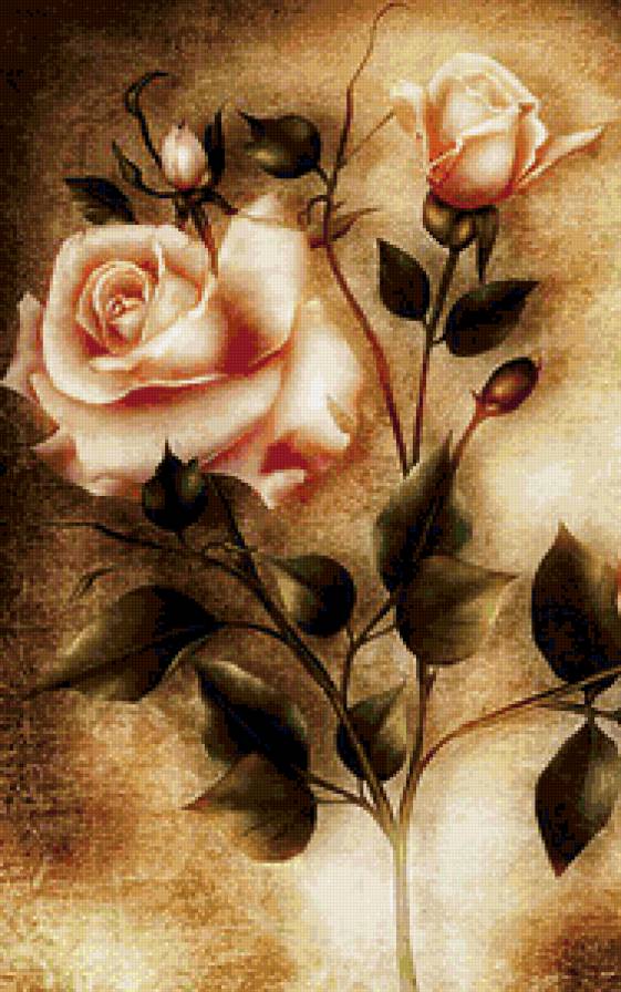 Розы - винтаж, букет, цветы, роза, розы - предпросмотр