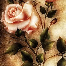 Схема вышивки «Розы»