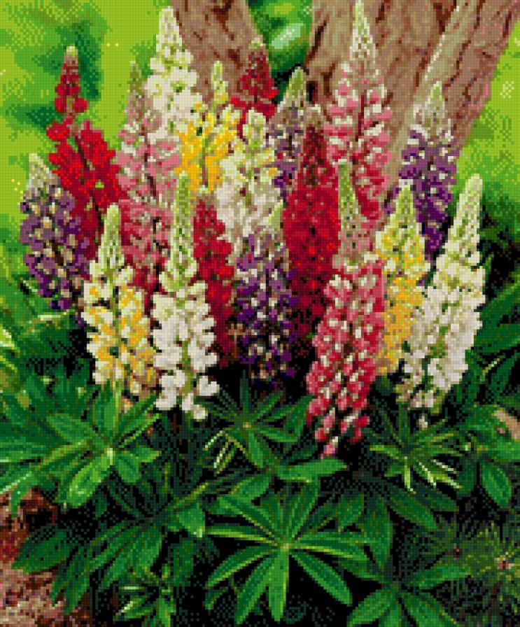 цветы садовые - предпросмотр