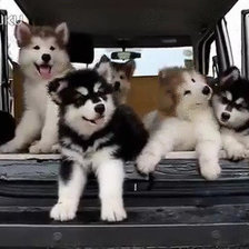 Схема вышивки «Веселая семейка»