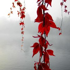 краски осени