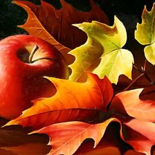 Схема вышивки «яблоко»