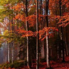 Схема вышивки «Осень багряная.»