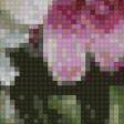 Предпросмотр схемы вышивки «пионы» (№1062153)