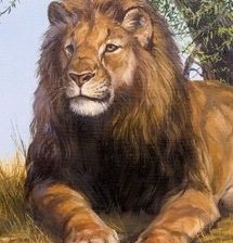 Схема вышивки «полуденный отдых»