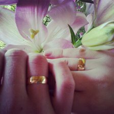 Схема вышивки «Свадьба)»