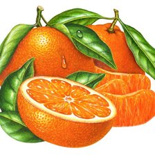 Схема вышивки «на кухню»