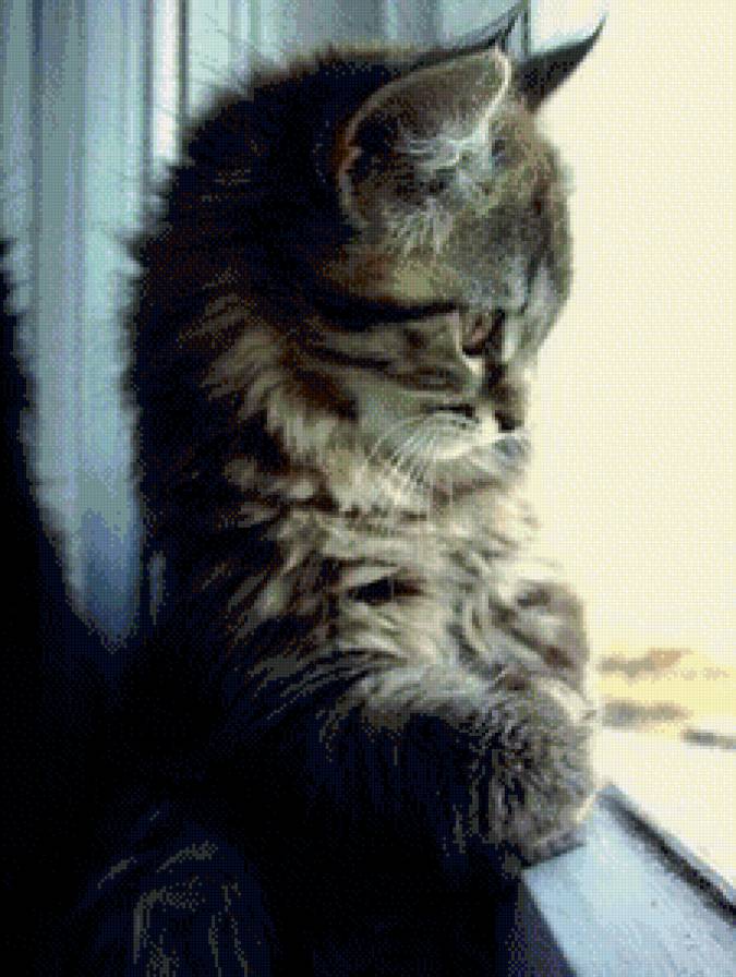 ожидание - предпросмотр