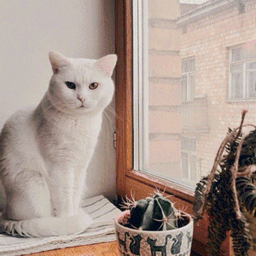 Снежинка - животные, кошки, коты, домашние животные - предпросмотр