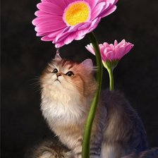 Схема вышивки «№1063110»