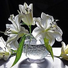 Схема вышивки «лилии»