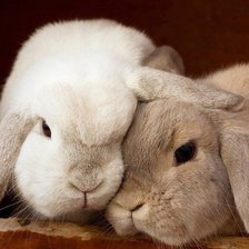 Схема вышивки «зайки»