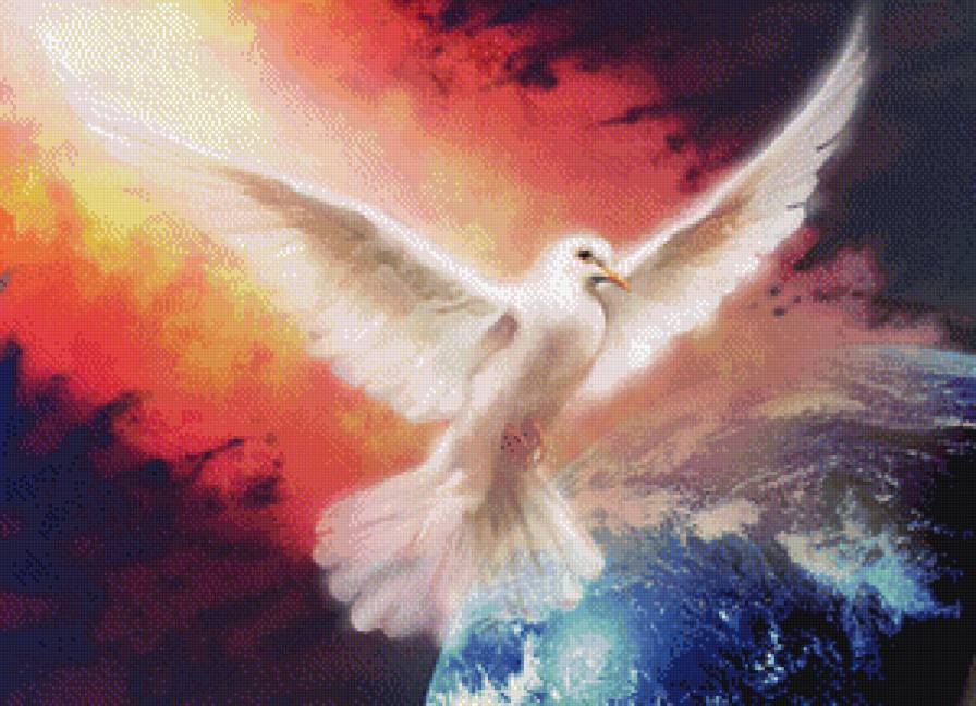 голубь - голубь, мир, вселенная - предпросмотр