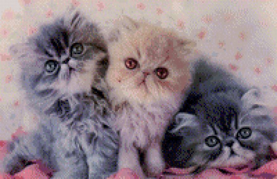 котята - котята, три котенка - предпросмотр