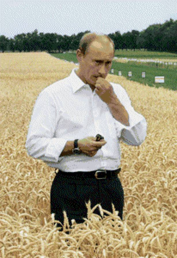 президент - человек, путин - предпросмотр