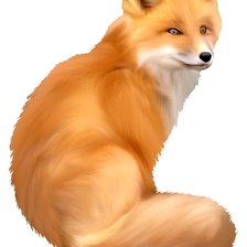 Схема вышивки «Лиса»