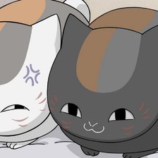 Тетрадь дружбы