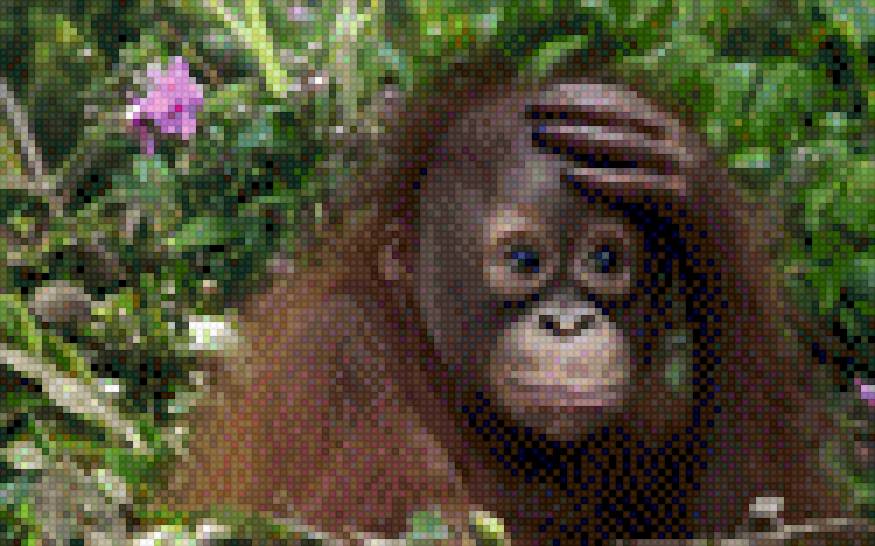 Быть или не быть!!!! - смешные обезьянки - предпросмотр