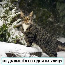 Схема вышивки «Зима?»