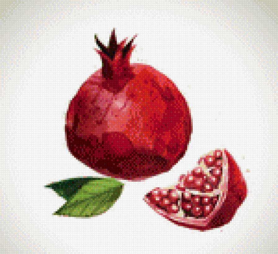 Гранат - акварель, гранат - предпросмотр