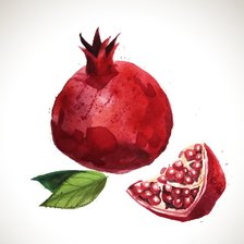 Схема вышивки «Гранат»