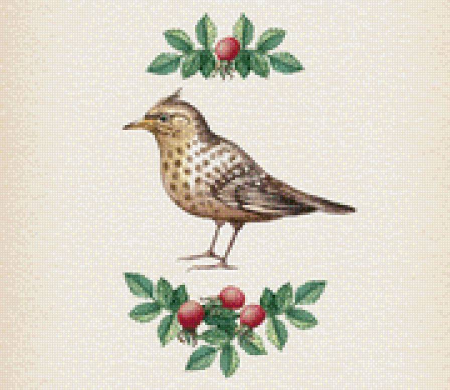 Птица - птица, ягоды, акварель, орнамент - предпросмотр