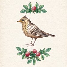 Схема вышивки «Птица»