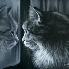 Схема вышивки «Кот»