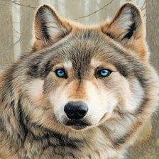 Схема вышивки «волк»